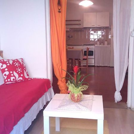 Apartment Bela Novigrad Istria Exteriör bild